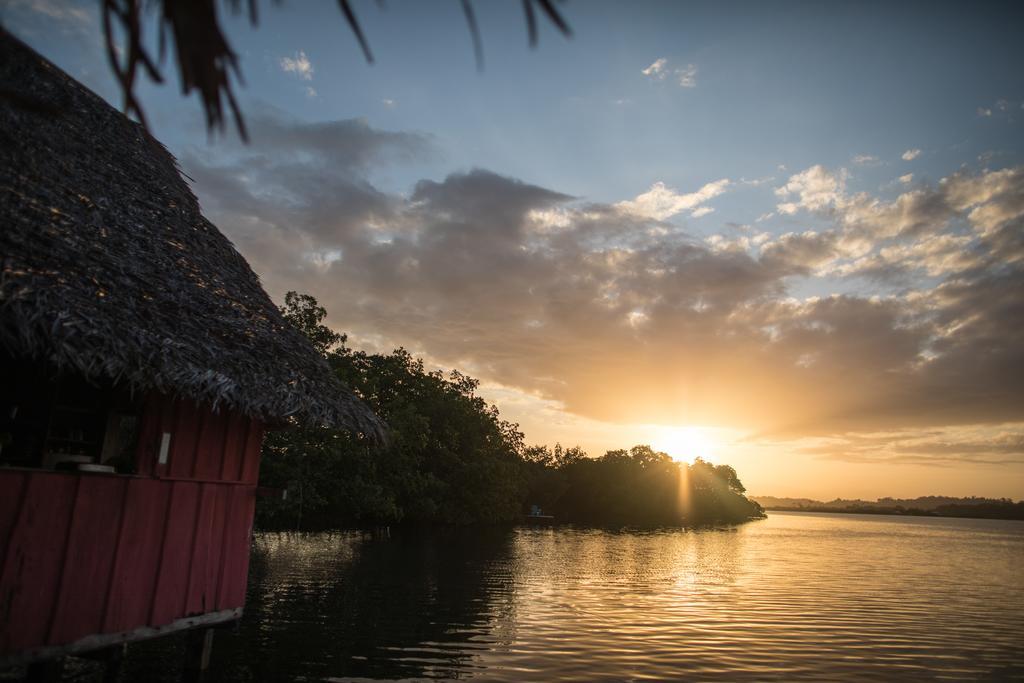 Cocovivo Hotel Bocas Town Exterior photo