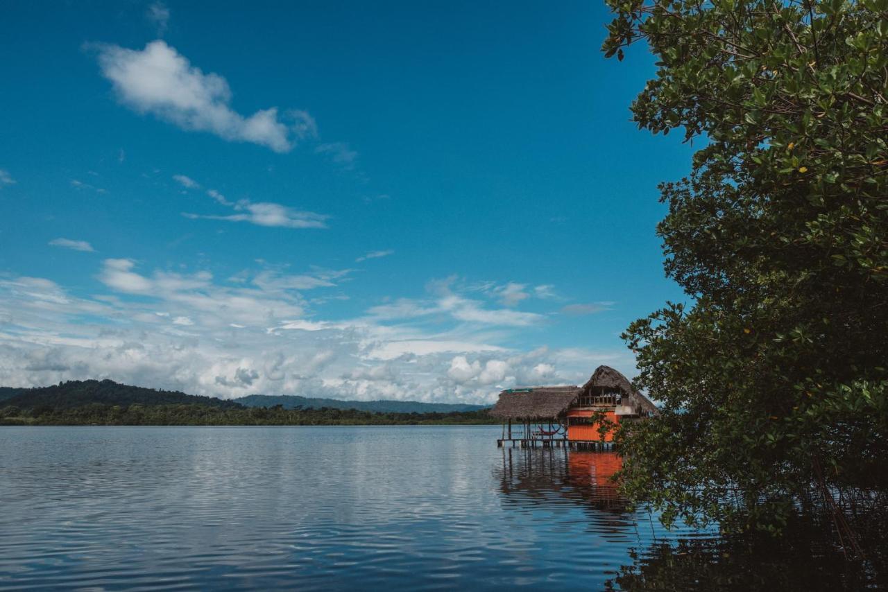 Cocovivo Hotel Bocas Town Exterior photo